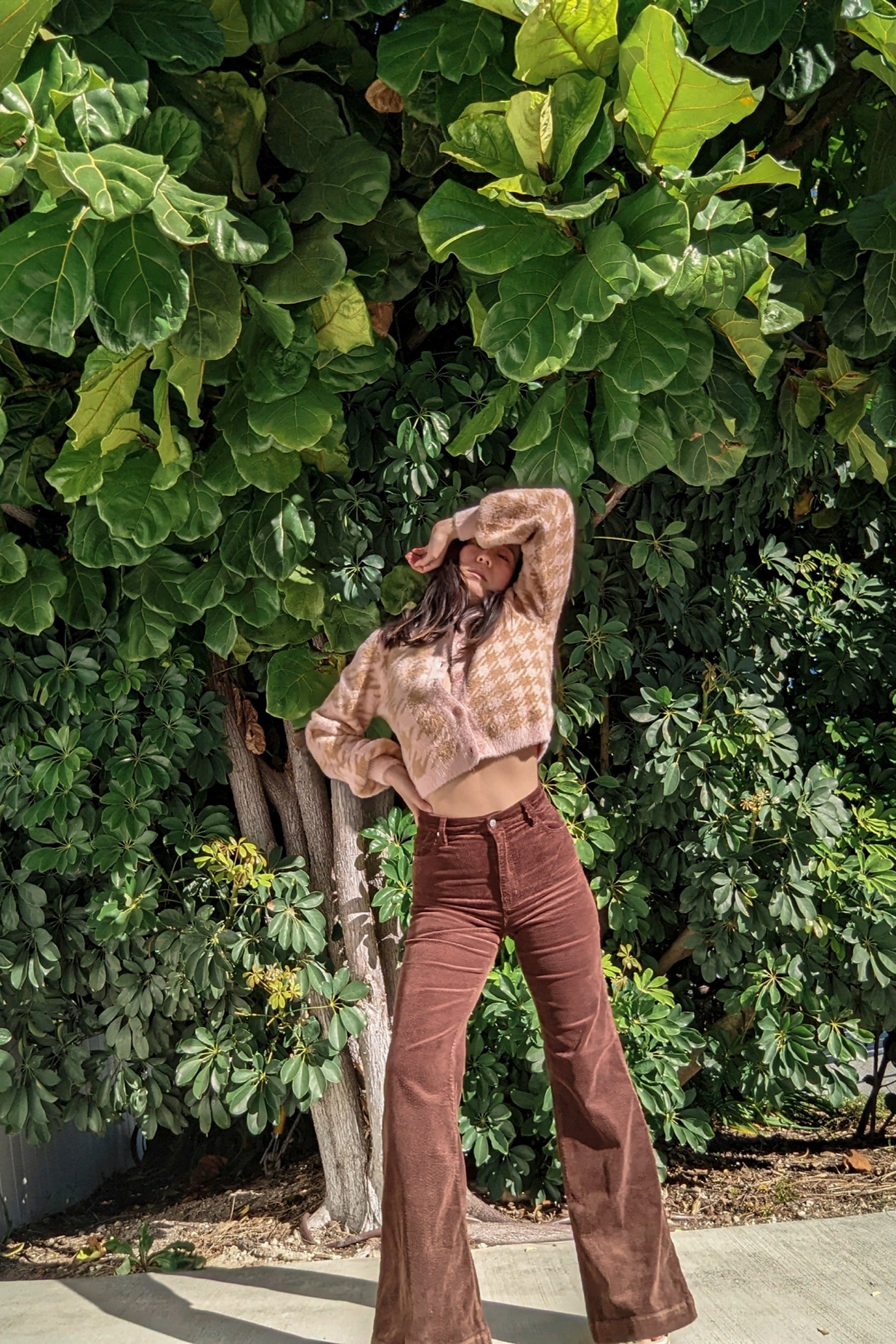 Brown Cord Eastcoast Flare