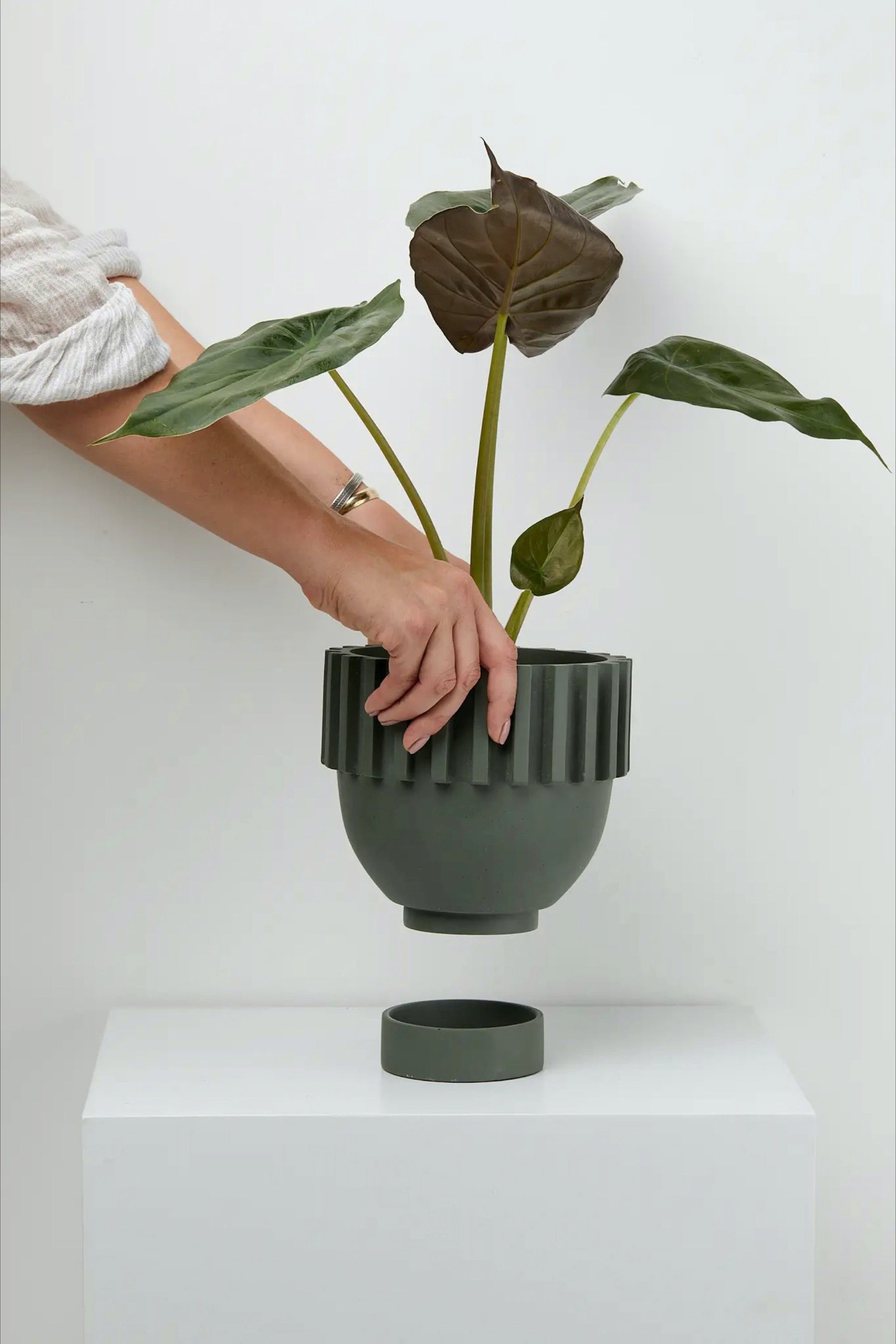 Agave Solstice Planter