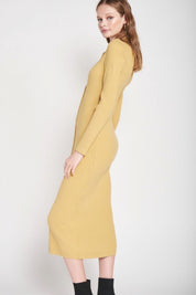 Dijon Button Up Dress