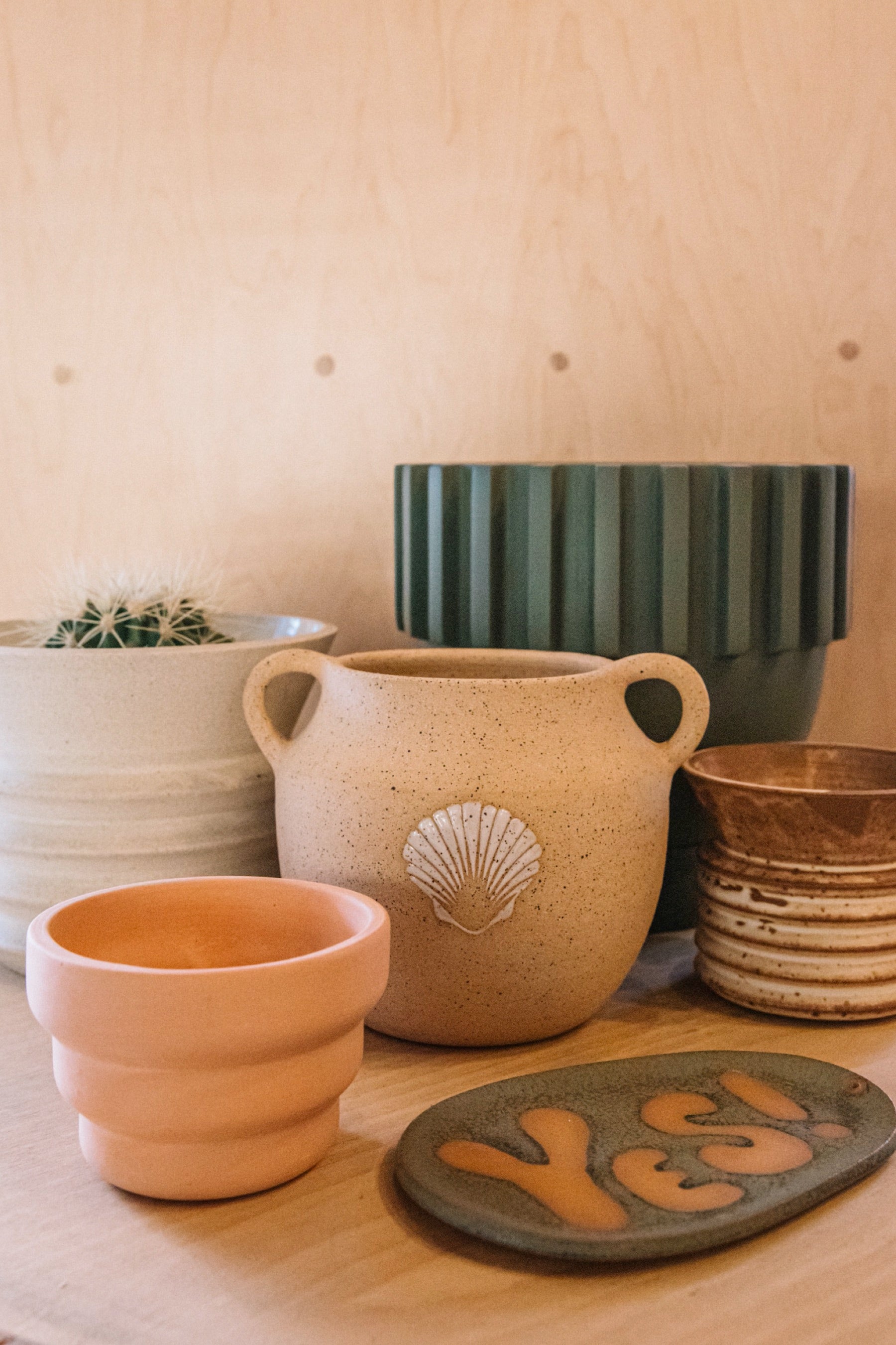 Agave Solstice Planter