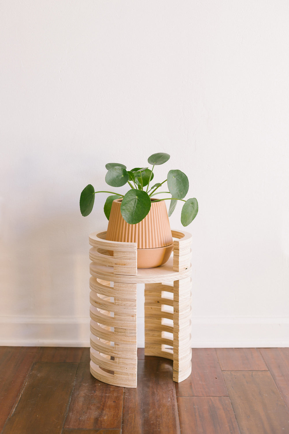 X PRISM Mojave Plant Stand