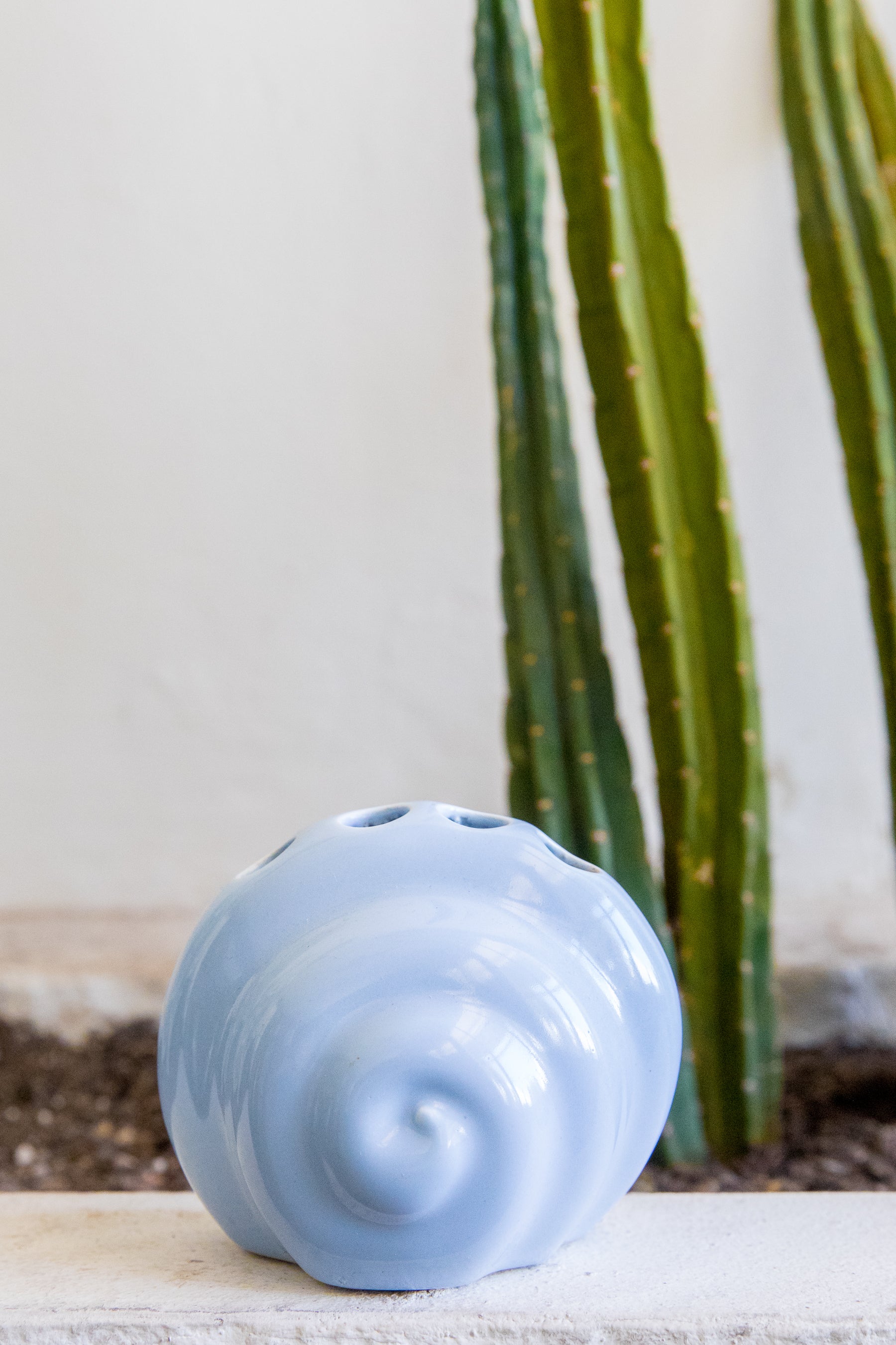 Blue Shell Toothbrush Holder