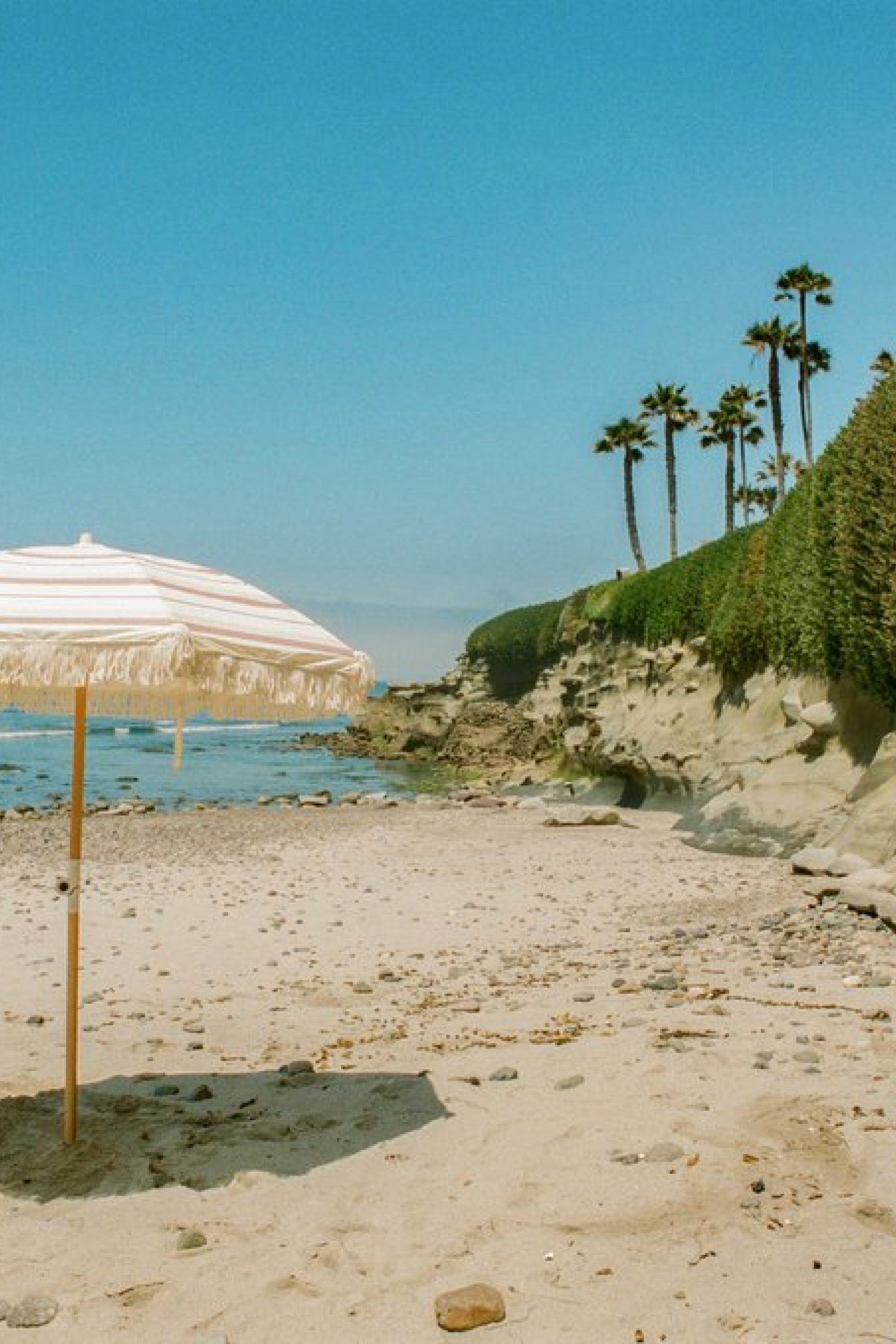 Thalia Umbrella