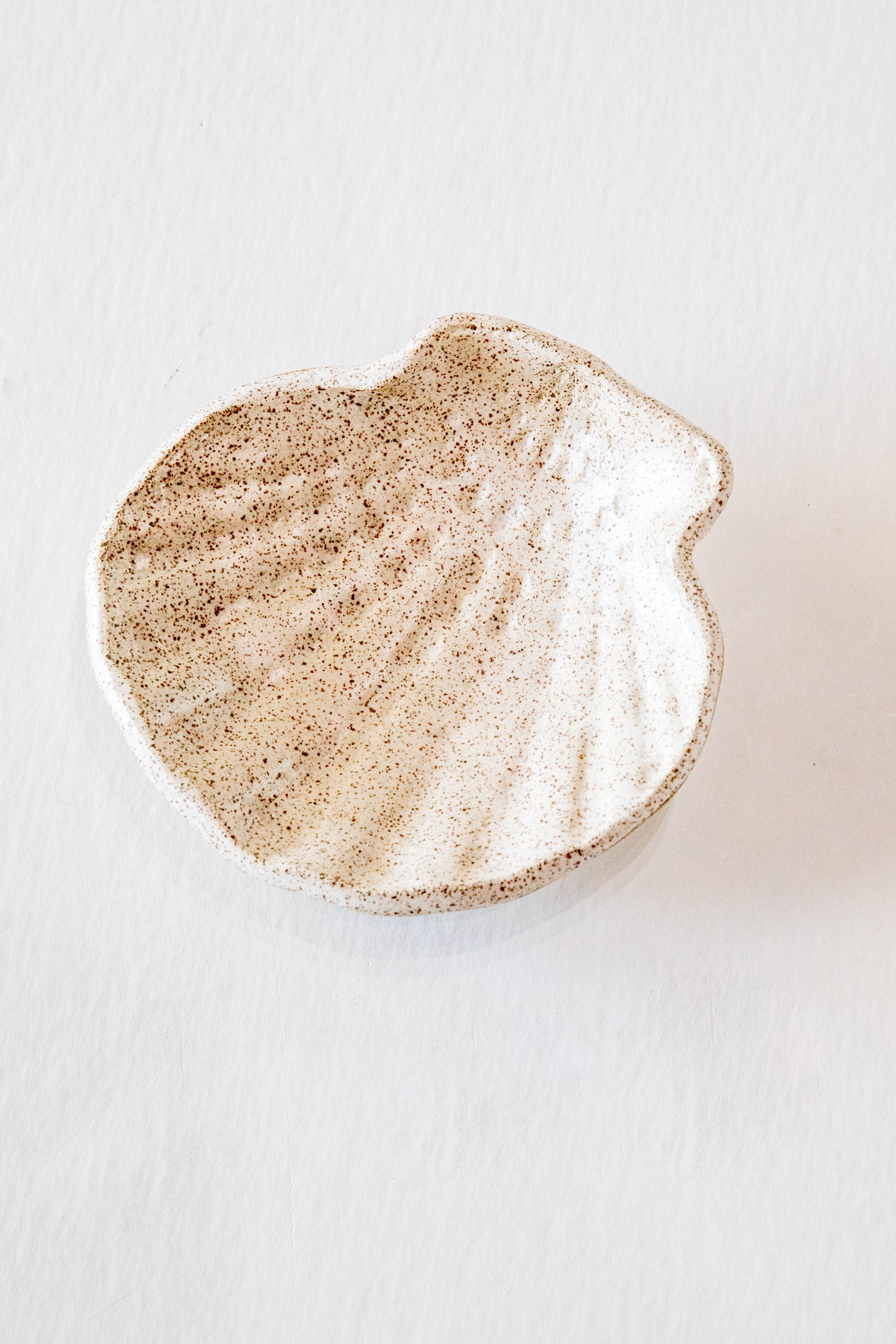 White Sands Shell Dish