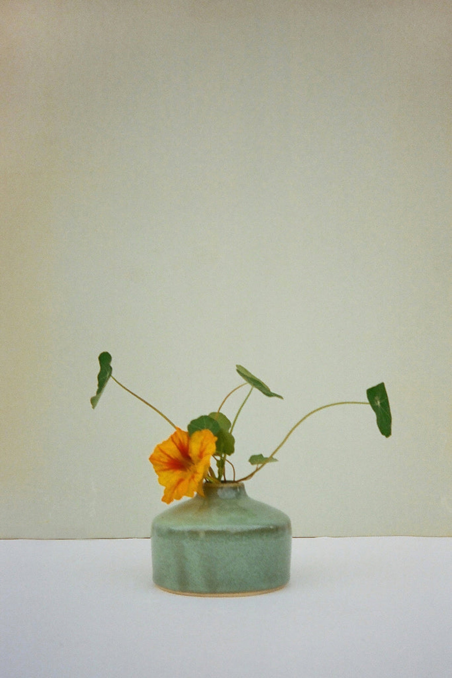 Sea Green Bud Vase