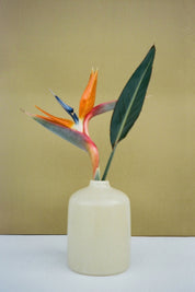 Matte Cream Jug Vase