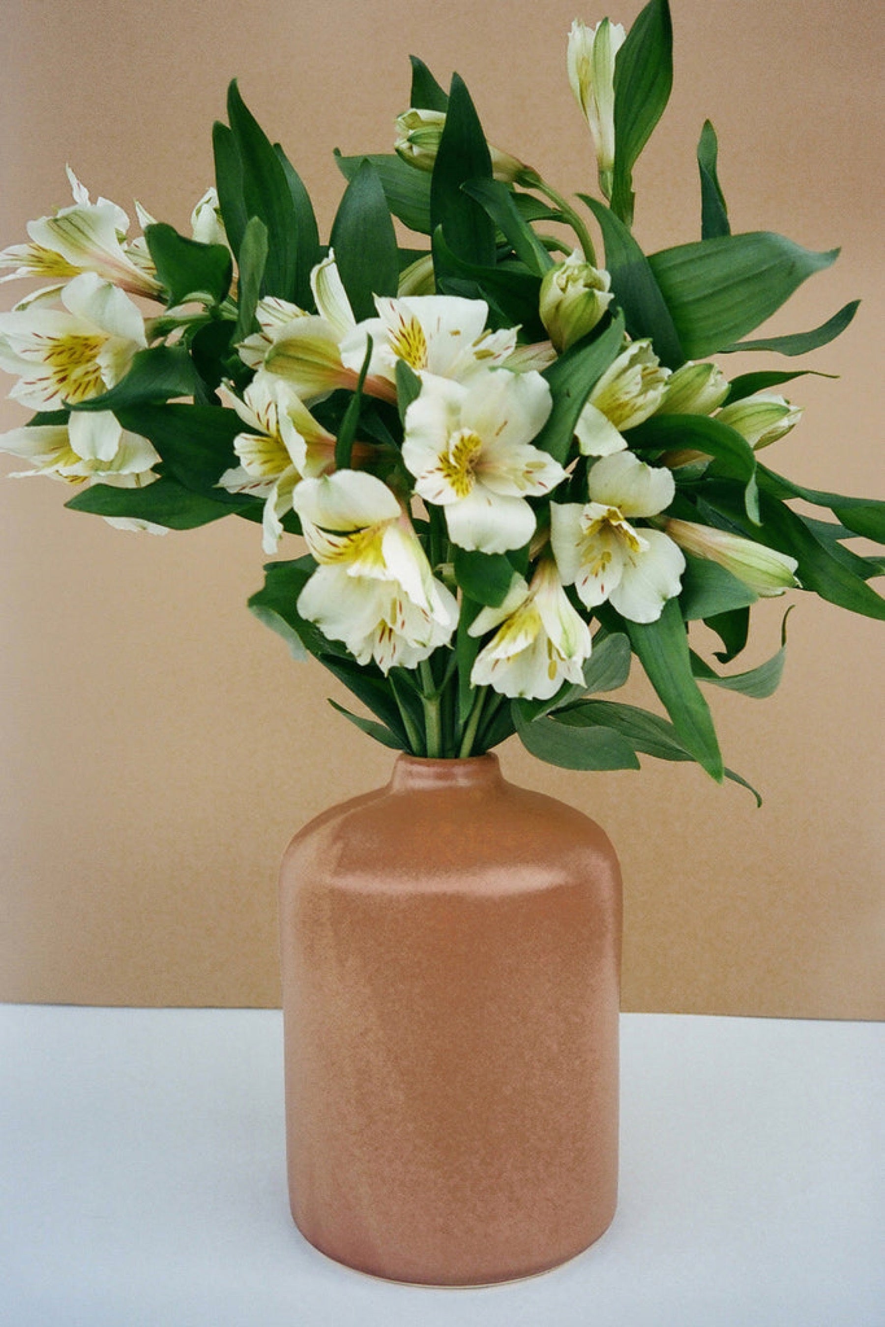 Sienna Jug Vase
